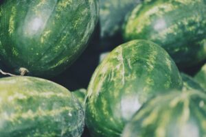 How to Build a Sustainable and Nutritionally Balanced Plant-Based Grocery List