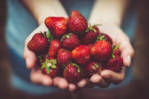 Nutritional Guidelines for Children Building Strong Foundations During Developmental Years